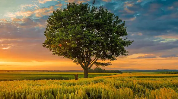 از زیبایی  های استان خوزستان تا استان کردستان