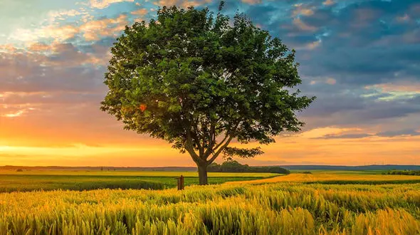 از زیبایی  های استان خوزستان تا استان کردستان