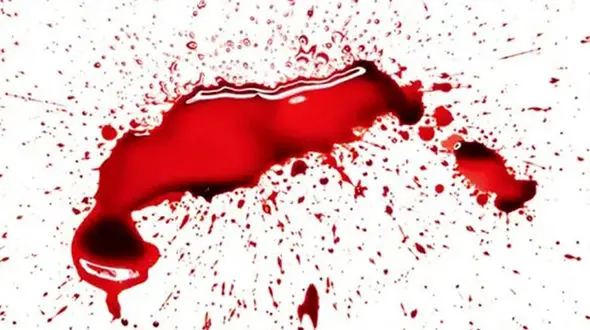 قتل پیرمرد 60 ساله درتجریش / انگیزه بچگانه قاتل چه بود ؟ 