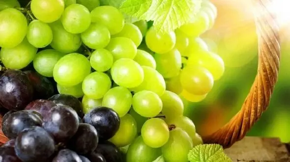 ماسک انگور برای پوست معجزه می کند