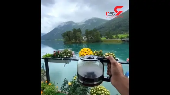 نوشیدن چای در دل طبیعت + فیلم