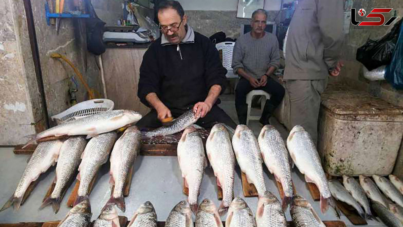 قیمت ماهی جنوب به کیلویی 200 هزار تومان رسید !