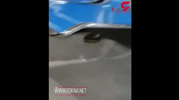 وحشت از مار در فرودگاه بین المللی + فیلم