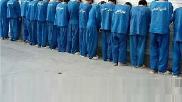 انهدام شبکه‌ شرط‌بندی مبارزات داخل قفس در تهران و قزوین