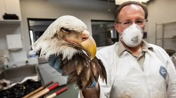 انبار مخوف حیات وحش در کلرادو +تصاویر