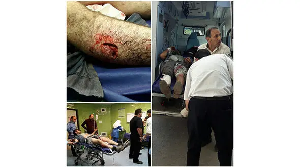  سه خرس مرد میانه‌ای را تیکه پاره کردند! + عکس ها