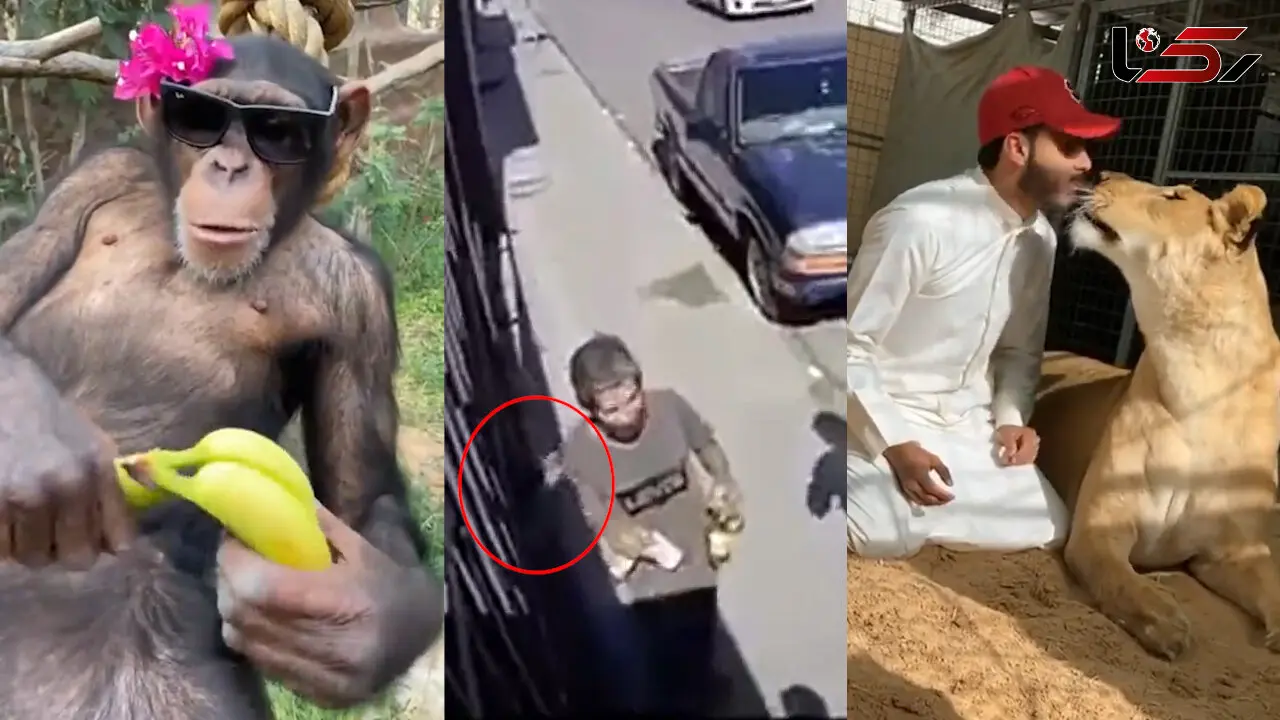 از دزد دست و پاچلفتی تا نصف شدن هواپیما در فرودگاه + 10 فیلم حادثه ای