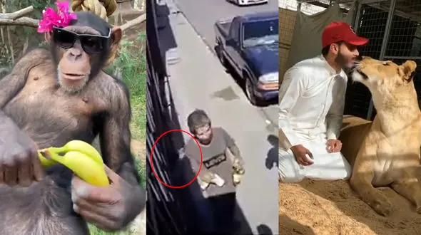 از دزد دست و پاچلفتی تا نصف شدن هواپیما در فرودگاه + 10 فیلم حادثه ای