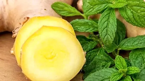 برای رفع حالت تهوع زنجبیل بهتر است یا نعناع؟