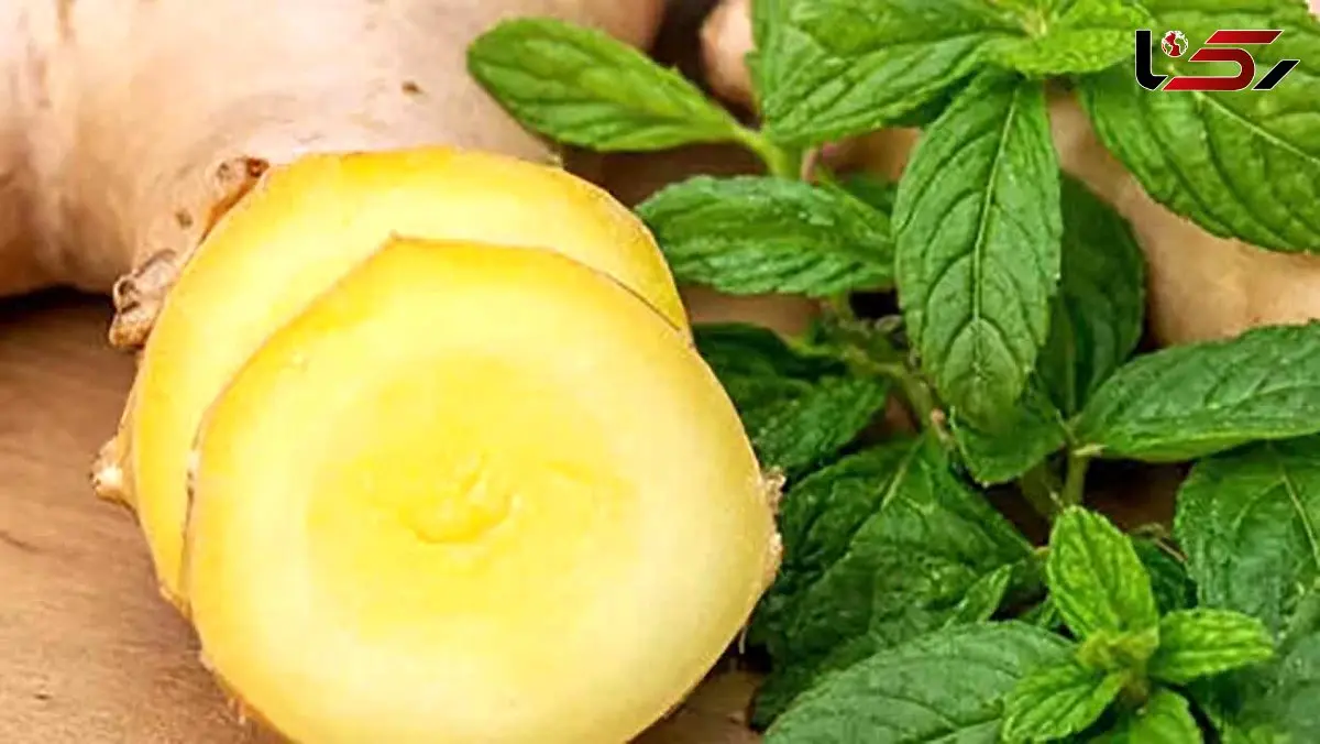 برای رفع حالت تهوع زنجبیل بهتر است یا نعناع؟