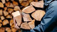  کشف ۱۰ تن چوب قاچاق در فامنین 