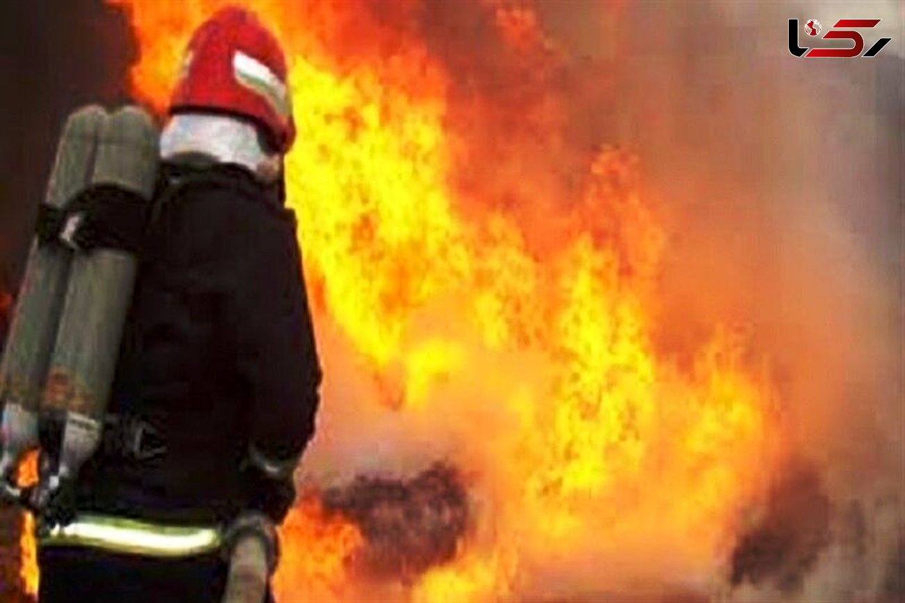  آتش سوزی هولناک در کارگاه چوب بری شیراز