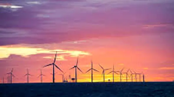 مزارع بادی به زیستن ماهی ها آسیب جدی وارد می کند