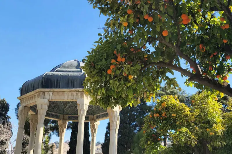 sara-pashakhanlou-ci5zmnatxok-unsplash-67ffb404ac77ad9327be9ebc