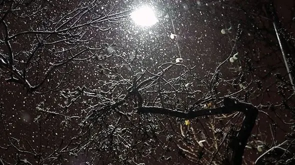 آرامش در دو فصل / بهار و زمستان