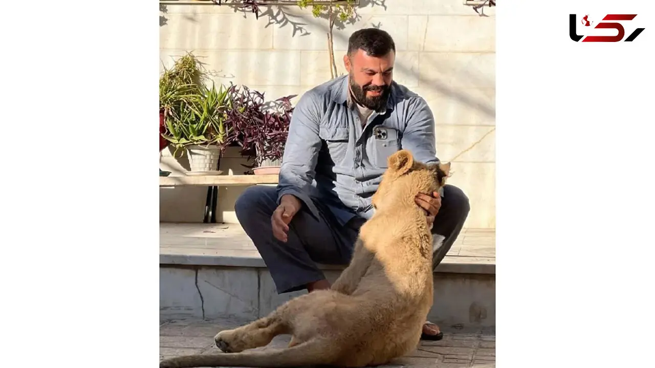 علی اکبری قول داده توله شیر را پیدا کند