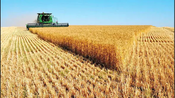 ۳۷۰ هزار هکتار از اراضی لرستان تحت پوشش طرح جهش تولید دردیمزاها