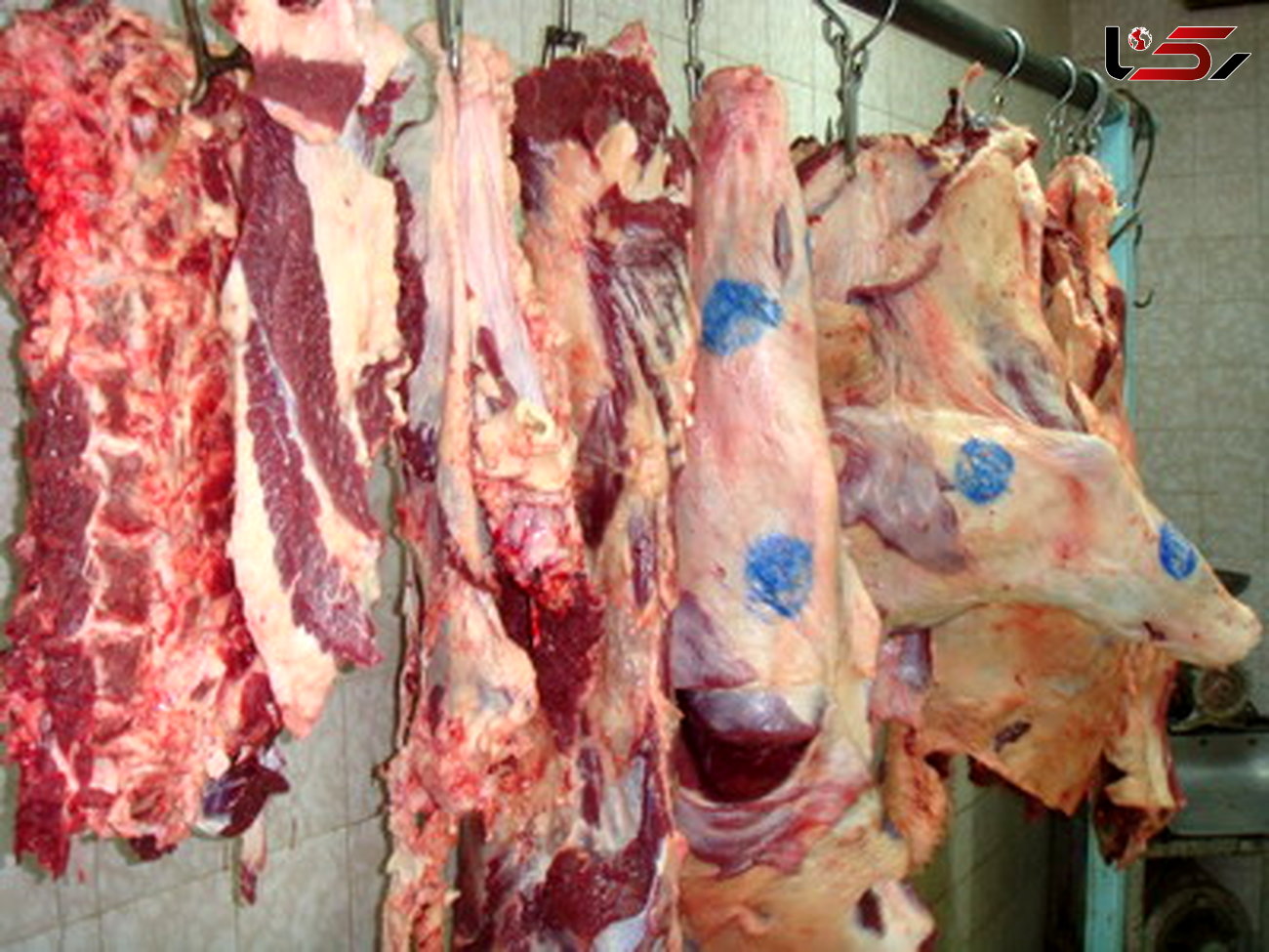 گوشت های وارداتی را بدموقع توزیع کردند