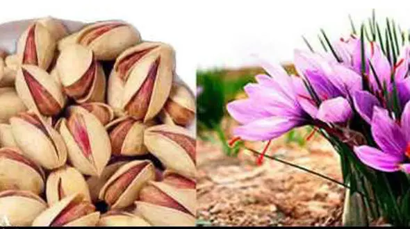 افزایش صادرات پسته و زعفران خراسان رضوی