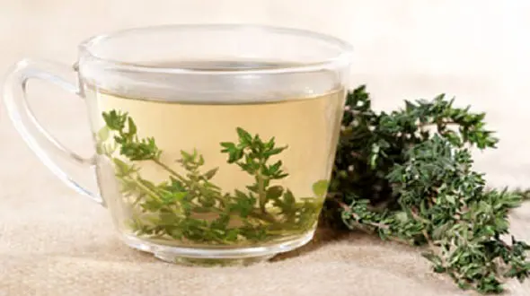 قوی‌ترین گیاهان دارویی برای مقابله با چربی‌خون