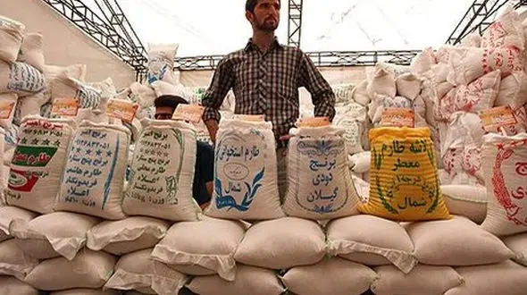 کمبود برنج نداریم/ حداکثر قیمت ۱۲ هزار تومان