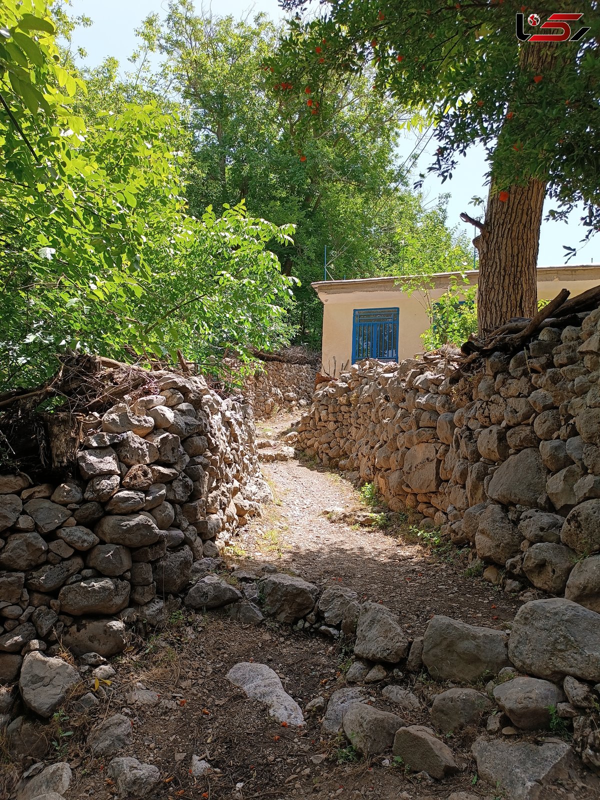 با روستای زیبای داریان کرمانشاه آشنا شوید/ تصاویری که شما را مجذوب می‌کند+ عکس و فیلم 