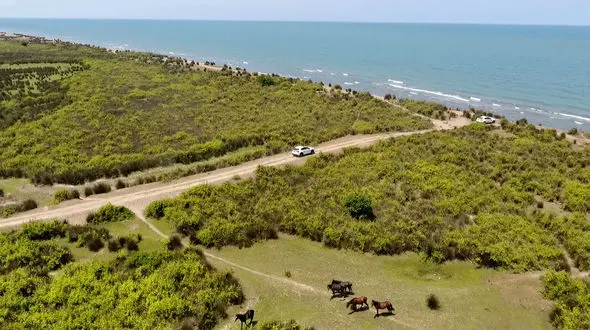 همنشینی دریا و پارک ملی بوچاق بندر کیاشهر گیلان + فیلم