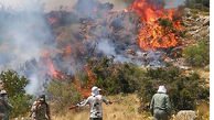 آتش‌سوزی در عرصه‌های طبیعی سه منطقه در کهگیلویه بویر احمد 