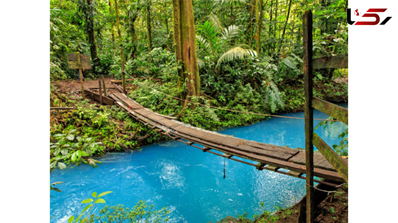 خاصیت عجیب و کشف نشده آب یک رودخانه در کاستاریکا! 