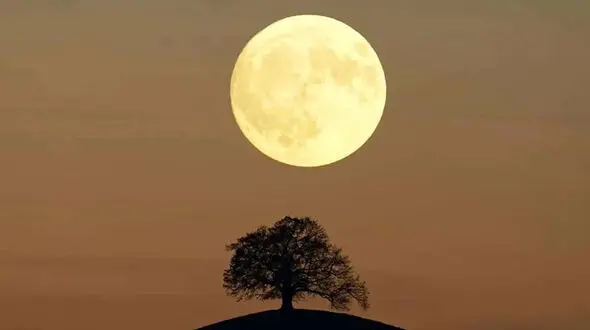 جمعه و شنبه هفته بعد، ماه خاویاری را رصد کنید! 
