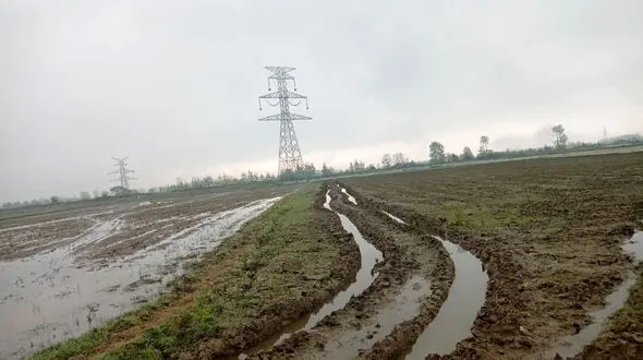 خسارت سنگین اداره برق به 22 کشاورز روستاهای اطراف رشت/ کشاورزان: خسارت نکاشت را ندادند، اعتراضات به بازداشت کشید! + فیلم