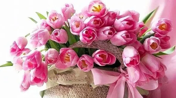 فال روزانه شخصی / 19 آذر ماه + فیلم