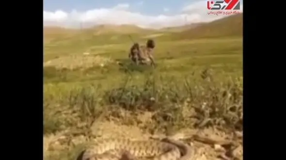 فیلم لحظه حمله یک مار به مرد جیرفتی هنگام گرفتن سلفی