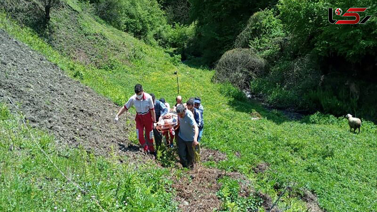 مرگ تلخ جوان گیلانی در ارتفاعات رامسر / 3 بامداد جسدش کشف شد + عکس