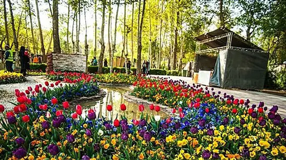 جشنواره لاله‌ های کرج در حال برگزاری است + عکس و فیلم