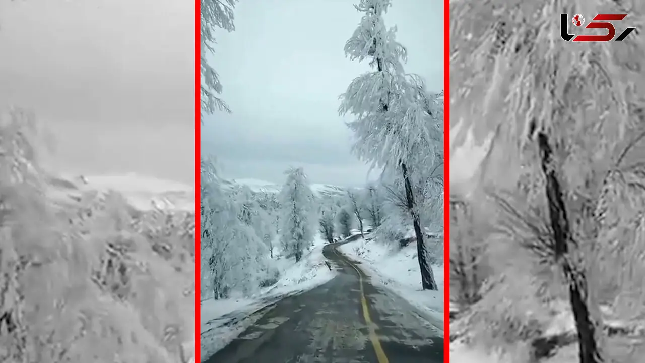 مناظر برفی مینودشت در استان گلستان