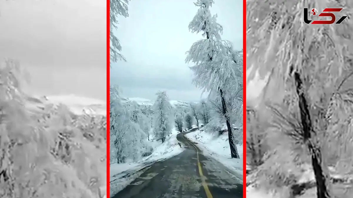 مناظر برفی مینودشت در استان گلستان
