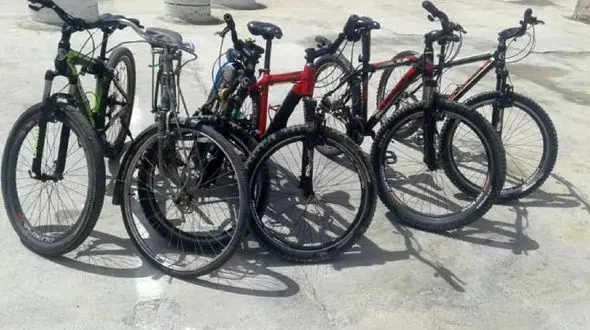 دستگیری سارق 20 ساله بروجنی