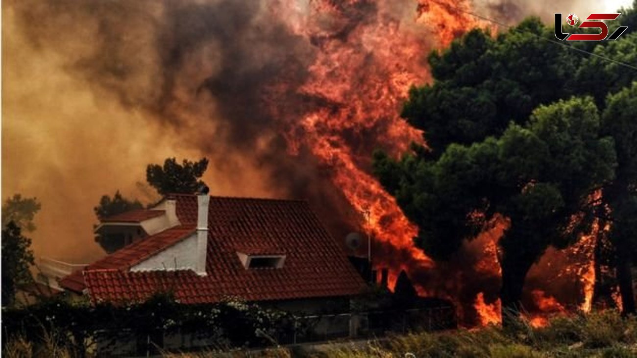 آتش مرگ در جنگل های یونان + عکس 