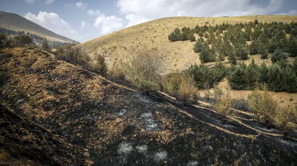  برگرداندن بیش از ۱۲۳ هزارمترمربع اراضی ملی به بیت‌المال در دولت سیزدهم

