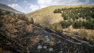 آتش سوزی در ۲۵ هکتار از اراضی ملی قزوین