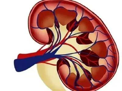 آیا ترکیب ایبوپروفن و کافئین به کلیه‌ ها آسیب می‌ زند؟ / پاسخ به پرسش های متداول