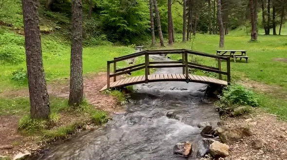 یک روزی تلاشتان نتیجه میدهند