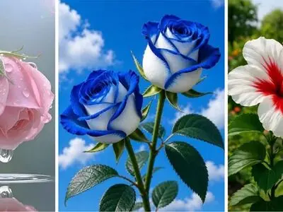 22 عکس گل فوق‌ العاده زیبا و باکیفیت؛ خاص‌ ترین گل‌ های دنیا برای پروفایل و والپیپر
