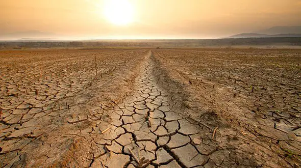 در راستای بیابان زدایی ۲۰ میلیون هکتار از مراتع فرسوده کشور در برنامه هفتم احیا می‌شود  

