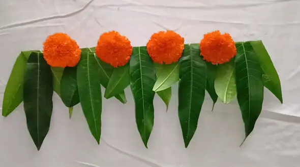 ساخت باغچه کوچک در عید + فیلم