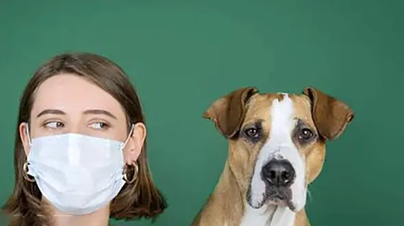 از حیوانات هم کرونا میگیریم؟