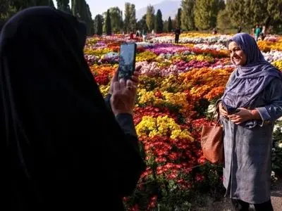 جشنواره گل‌ های داوودی؛ تصاویری که شما را شگفت‌ زده می‌ کند