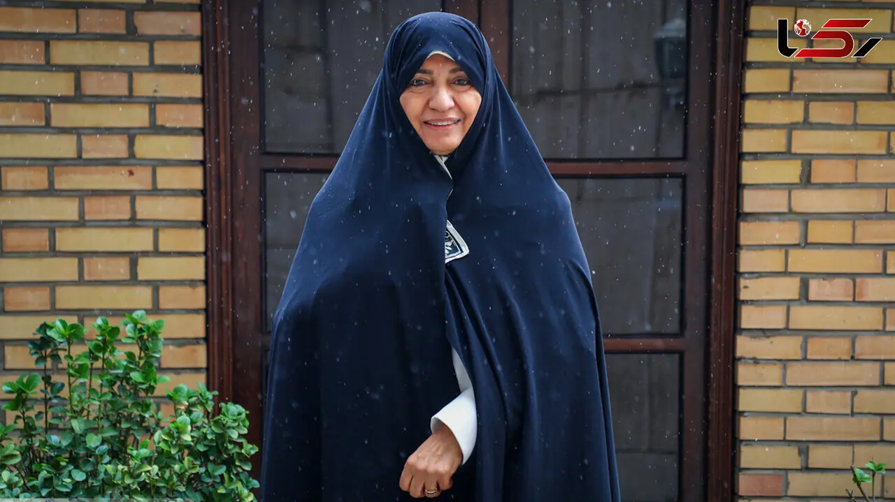 داداندیش: اگر از سیاست‌ ورزی اجباری گله دارید، «رأی اعتراضی» بدهید / با نیامدن تغییری ایجاد نمی‌شود
