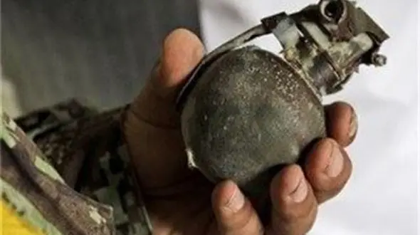 مردم نگران نارنجک های جنگی کشف شده در حاشیه تهران نباشند